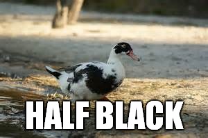 Half Black | HALF BLACK | image tagged in afflack,duck | made w/ Imgflip meme maker