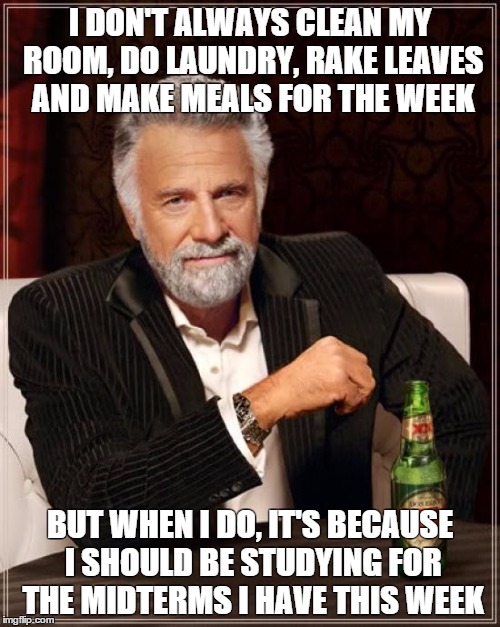 The Most Interesting Man In The World | I DON'T ALWAYS CLEAN MY ROOM, DO LAUNDRY, RAKE LEAVES AND MAKE MEALS FOR THE WEEK BUT WHEN I DO, IT'S BECAUSE I SHOULD BE STUDYING FOR THE M | image tagged in memes,the most interesting man in the world,AdviceAnimals | made w/ Imgflip meme maker