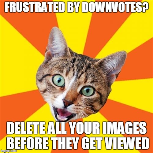 So fresh it doesn't even have a real title | FRUSTRATED BY DOWNVOTES? DELETE ALL YOUR IMAGES BEFORE THEY GET VIEWED | image tagged in memes,bad advice cat | made w/ Imgflip meme maker