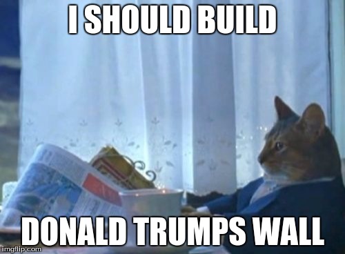 I Should Buy A Boat Cat | I SHOULD BUILD DONALD TRUMPS WALL | image tagged in memes,i should buy a boat cat | made w/ Imgflip meme maker