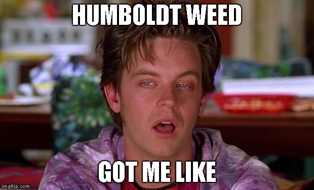 HUMBOLDT WEED GOT ME LIKE | image tagged in weed,dank,humboldt county,pot | made w/ Imgflip meme maker
