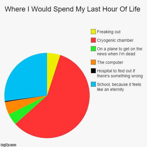 Where I Would Spend My Last Hour Of Life | image tagged in funny,pie charts,dead,nope,yo mama | made w/ Imgflip chart maker