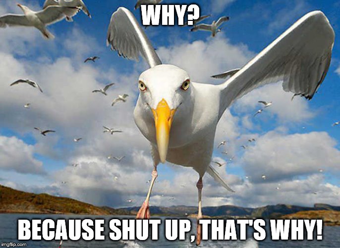 Because shut up | WHY? BECAUSE SHUT UP, THAT'S WHY! | image tagged in shut up | made w/ Imgflip meme maker