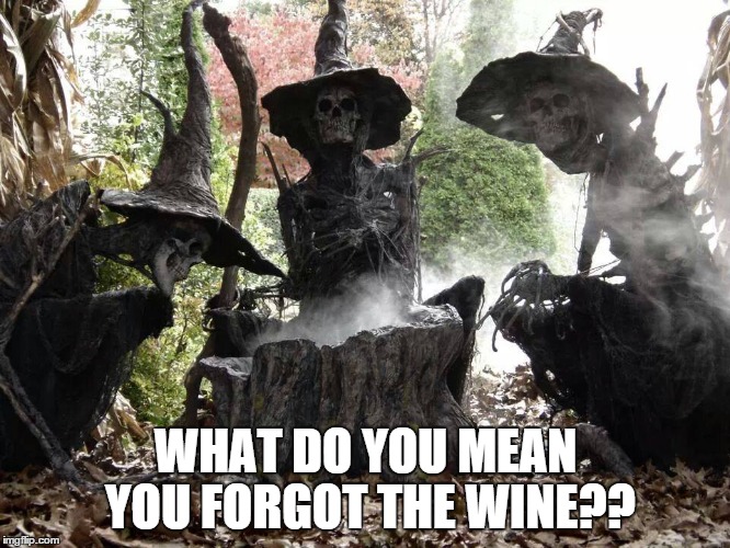 WHAT DO YOU MEAN YOU FORGOT THE WINE?? | image tagged in witch | made w/ Imgflip meme maker