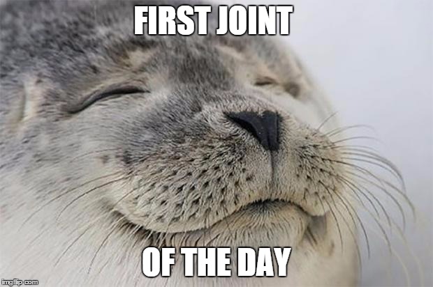 Satisfied Seal Meme | FIRST JOINT OF THE DAY | image tagged in memes,satisfied seal | made w/ Imgflip meme maker