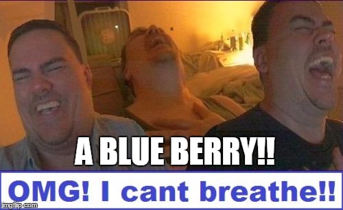 LMAO | A BLUE BERRY!! | image tagged in lmao | made w/ Imgflip meme maker