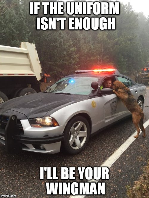 IF THE UNIFORM ISN'T ENOUGH I'LL BE YOUR WINGMAN | image tagged in cop with dog | made w/ Imgflip meme maker