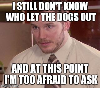 Andy Dwyer | I STILL DON'T KNOW WHO LET THE DOGS OUT AND AT THIS POINT I'M TOO AFRAID TO ASK | image tagged in andy dwyer | made w/ Imgflip meme maker