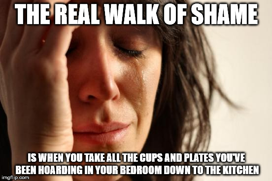 First World Problems Meme | THE REAL WALK OF SHAME IS WHEN YOU TAKE ALL THE CUPS AND PLATES YOU'VE BEEN HOARDING IN YOUR BEDROOM DOWN TO THE KITCHEN | image tagged in memes,first world problems | made w/ Imgflip meme maker