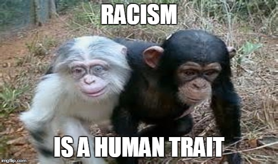 RACISM IS A HUMAN TRAIT | image tagged in racism | made w/ Imgflip meme maker