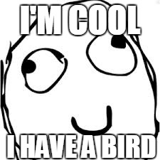 Derp Meme | I'M COOL I HAVE A BIRD | image tagged in memes,derp | made w/ Imgflip meme maker