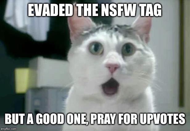 omg cat 2 | EVADED THE NSFW TAG BUT A GOOD ONE, PRAY FOR UPVOTES | image tagged in omg cat 2 | made w/ Imgflip meme maker