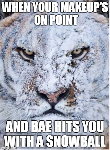 Winter Fury | WHEN YOUR MAKEUP'S ON POINT AND BAE HITS YOU WITH A SNOWBALL | image tagged in bad luck brian,one does not simply,but thats none of my business,haha,funny | made w/ Imgflip meme maker