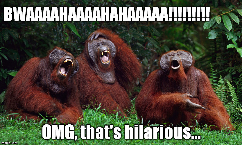 BwaaaHaaaHaaaHAHAAA!! ! | BWAAAAHAAAAHAHAAAAA!!!!!!!!! OMG, that's hilarious... | image tagged in laughing monkeys,laughing orangutangs,funny,funny joke,animals laughing | made w/ Imgflip meme maker