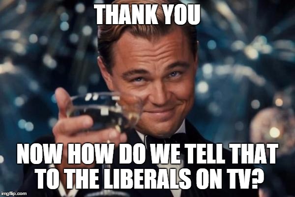 Leonardo Dicaprio Cheers Meme | THANK YOU NOW HOW DO WE TELL THAT TO THE LIBERALS ON TV? | image tagged in memes,leonardo dicaprio cheers | made w/ Imgflip meme maker