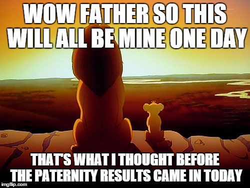 Lion King | WOW FATHER SO THIS WILL ALL BE MINE ONE DAY THAT'S WHAT I THOUGHT BEFORE THE PATERNITY RESULTS CAME IN TODAY | image tagged in memes,lion king | made w/ Imgflip meme maker
