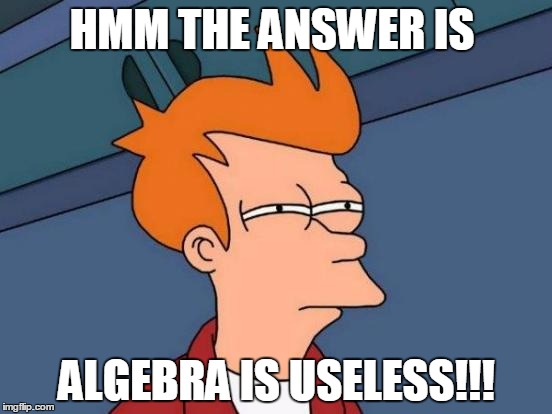 Futurama Fry Meme | HMM THE ANSWER IS ALGEBRA IS USELESS!!! | image tagged in memes,futurama fry | made w/ Imgflip meme maker