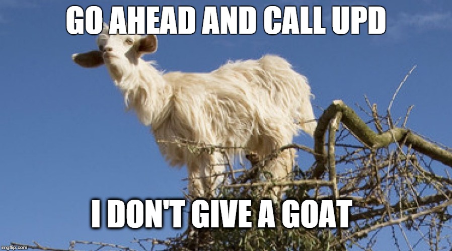 Goatica, the Utica Goat | GO AHEAD AND CALL UPD I DON'T GIVE A GOAT | image tagged in utica goat,goatica,utica,funny goat | made w/ Imgflip meme maker