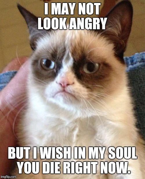 Grumpy Cat Meme | I MAY NOT LOOK ANGRY BUT I WISH IN MY SOUL YOU DIE RIGHT NOW. | image tagged in memes,grumpy cat | made w/ Imgflip meme maker