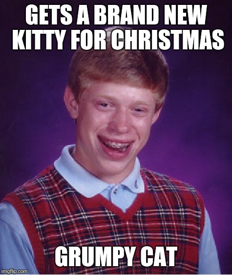 Bad Luck Brian Meme | GETS A BRAND NEW KITTY FOR CHRISTMAS GRUMPY CAT | image tagged in memes,bad luck brian,grumpy cat,christmas,kitty | made w/ Imgflip meme maker