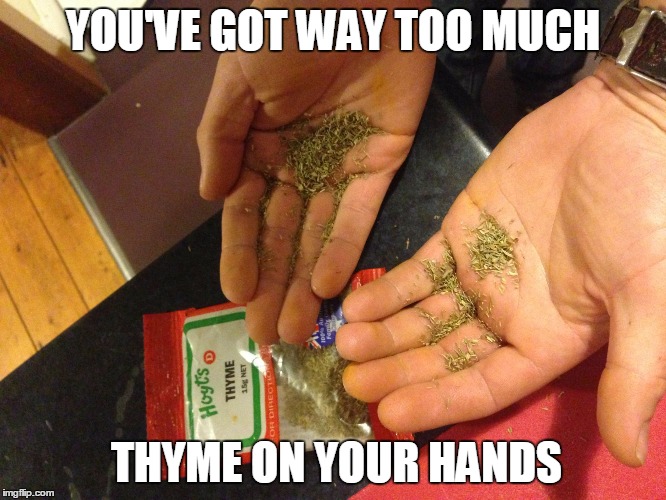 YOU'VE GOT WAY TOO MUCH THYME ON YOUR HANDS | image tagged in too much thyme on hands | made w/ Imgflip meme maker