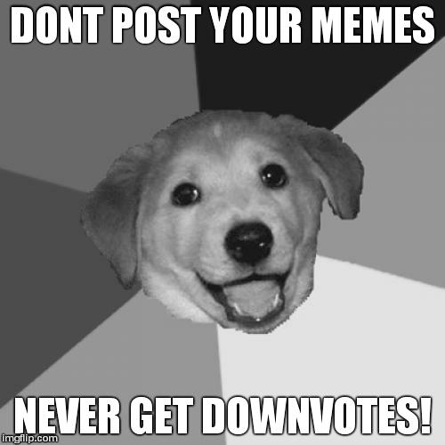 Advice Dog | DONT POST YOUR MEMES NEVER GET DOWNVOTES! | image tagged in memes,advice dog | made w/ Imgflip meme maker