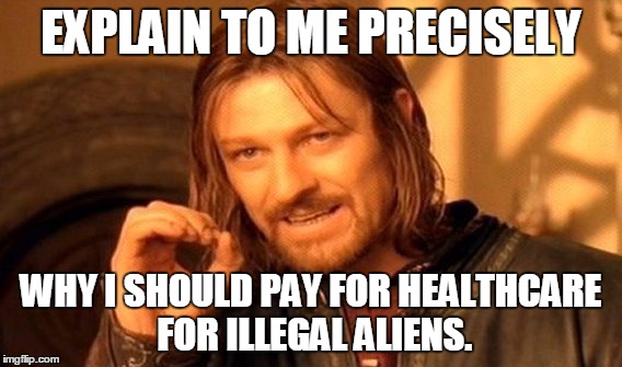 One Does Not Simply Meme | EXPLAIN TO ME PRECISELY WHY I SHOULD PAY FOR HEALTHCARE FOR ILLEGAL ALIENS. | image tagged in memes,one does not simply | made w/ Imgflip meme maker