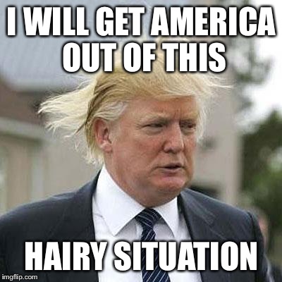 Because Talent | I WILL GET AMERICA OUT OF THIS HAIRY SITUATION | image tagged in donald trump,memes,hair | made w/ Imgflip meme maker