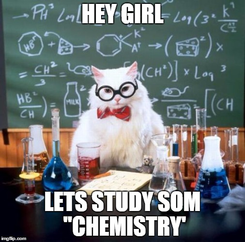 Chemistry Cat Meme | HEY GIRL LETS STUDY SOM "CHEMISTRY' | image tagged in memes,chemistry cat | made w/ Imgflip meme maker