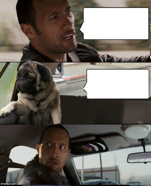 Rock driving Pug Blank Meme Template