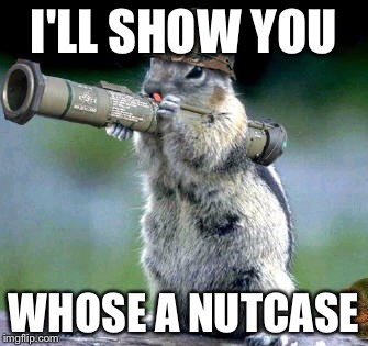 Bazooka Squirrel | I'LL SHOW YOU WHOSE A NUTCASE | image tagged in memes,bazooka squirrel | made w/ Imgflip meme maker