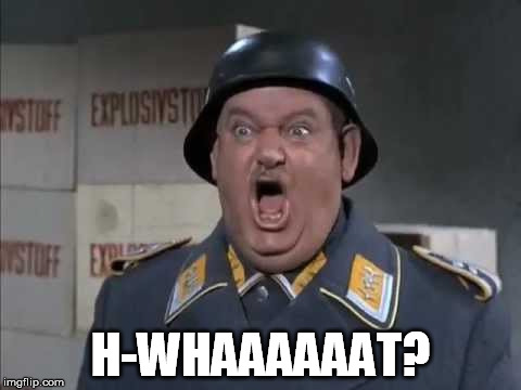 Sgt. Schultz shouting | H-WHAAAAAAT? | image tagged in sgt schultz shouting | made w/ Imgflip meme maker