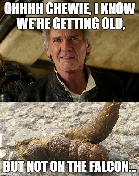 Chewie Dookie. | OHHHH CHEWIE, I KNOW WE'RE GETTING OLD, BUT NOT ON THE FALCON... | image tagged in chewbacca,old han and chewie,star wars,millennium falcon,shit,oh shit | made w/ Imgflip meme maker