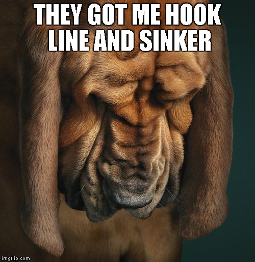 Dog Ashamed | THEY GOT ME HOOK LINE AND SINKER | image tagged in dog ashamed | made w/ Imgflip meme maker