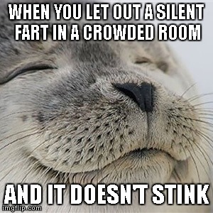 Whew...that was a close one. | WHEN YOU LET OUT A SILENT FART IN A CROWDED ROOM AND IT DOESN'T STINK | image tagged in content seal,funny,animals,fart | made w/ Imgflip meme maker