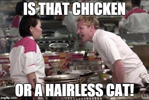 Angry Chef Gordon Ramsay Meme | IS THAT CHICKEN OR A HAIRLESS CAT! | image tagged in memes,angry chef gordon ramsay | made w/ Imgflip meme maker