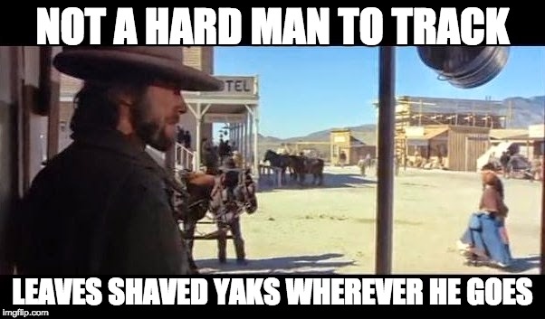 Not a hard man to track | NOT A HARD MAN TO TRACK LEAVES SHAVED YAKS WHEREVER HE GOES | image tagged in yakshaving | made w/ Imgflip meme maker