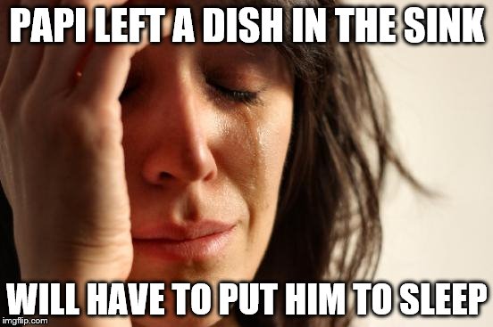 First World Problems | PAPI LEFT A DISH IN THE SINK WILL HAVE TO PUT HIM TO SLEEP | image tagged in memes,first world problems | made w/ Imgflip meme maker