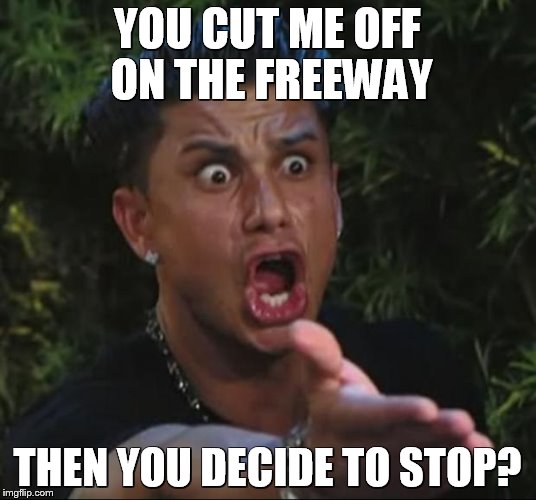 DJ Pauly D | YOU CUT ME OFF ON THE FREEWAY THEN YOU DECIDE TO STOP? | image tagged in memes,dj pauly d | made w/ Imgflip meme maker