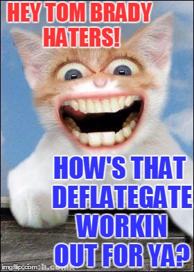 Patriots 6-0 so far  | HEY TOM BRADY HATERS! HOW'S THAT DEFLATEGATE WORKIN OUT FOR YA? | image tagged in crazy cat | made w/ Imgflip meme maker