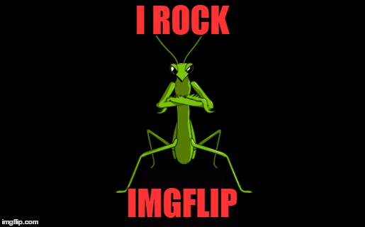 I ROCK IMGFLIP | made w/ Imgflip meme maker