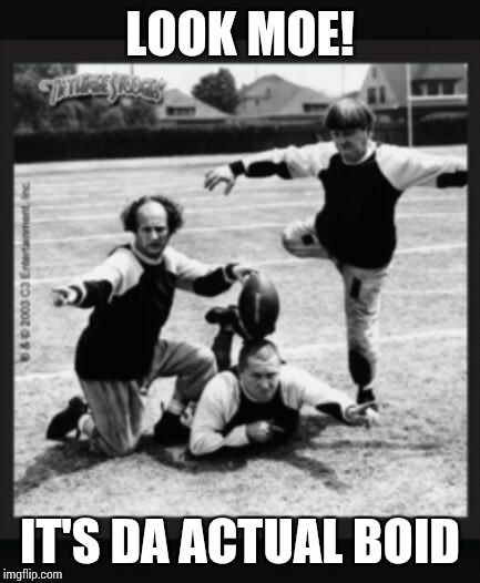 3 stooges | LOOK MOE! IT'S DA ACTUAL BOID | image tagged in 3 stooges | made w/ Imgflip meme maker
