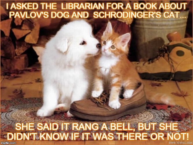 Searching for a title | I ASKED THE  LIBRARIAN FOR A BOOK ABOUT PAVLOV'S DOG AND  SCHRODINGER'S CAT... SHE SAID IT RANG A BELL, BUT SHE DIDN'T KNOW IF IT WAS THERE  | image tagged in library,cat,dog,science | made w/ Imgflip meme maker