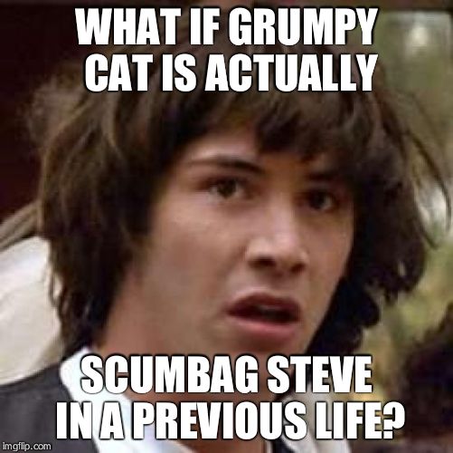 Conspiracy Keanu | WHAT IF GRUMPY CAT IS ACTUALLY SCUMBAG STEVE IN A PREVIOUS LIFE? | image tagged in memes,conspiracy keanu | made w/ Imgflip meme maker