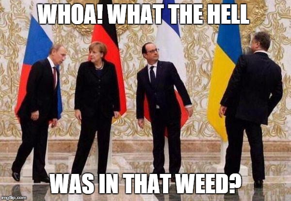 Putin on weed | WHOA! WHAT THE HELL WAS IN THAT WEED? | image tagged in weed | made w/ Imgflip meme maker