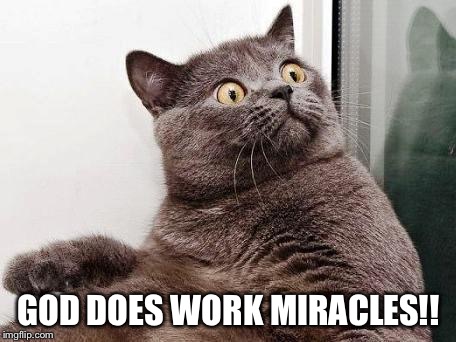 GOD DOES WORK MIRACLES!! | image tagged in surprised cat | made w/ Imgflip meme maker