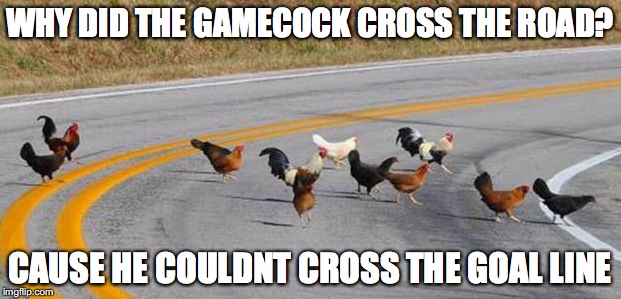 Cock road chickens | WHY DID THE GAMECOCK CROSS THE ROAD? CAUSE HE COULDNT CROSS THE GOAL LINE | image tagged in cock road chickens | made w/ Imgflip meme maker