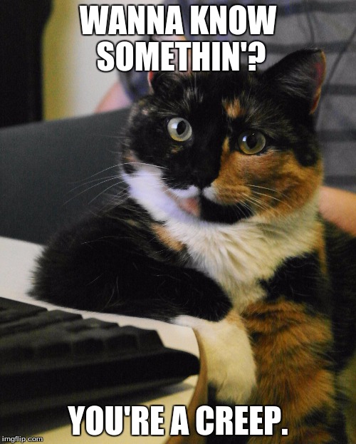 Shitty Consultation Kitty | WANNA KNOW SOMETHIN'? YOU'RE A CREEP. | image tagged in shitty consultation kitty | made w/ Imgflip meme maker