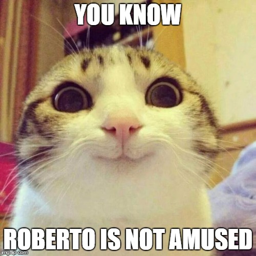 Smiling Cat Meme | YOU KNOW ROBERTO IS NOT AMUSED | image tagged in memes,smiling cat | made w/ Imgflip meme maker