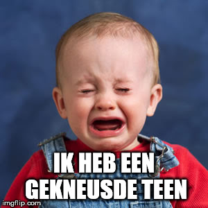 t5jxl.jpg